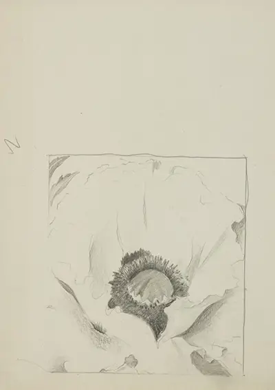 Untitled (Poppy) Georgia O'Keeffe